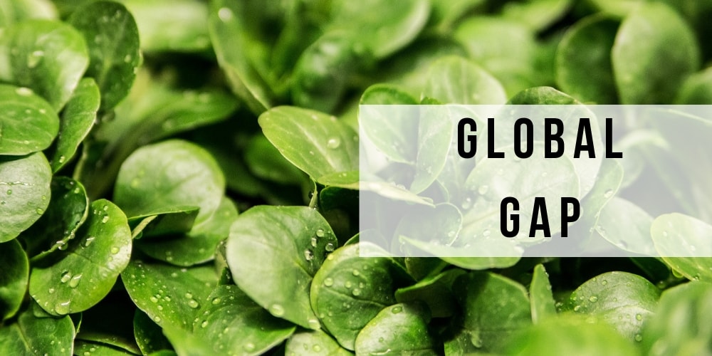 Global GAP
